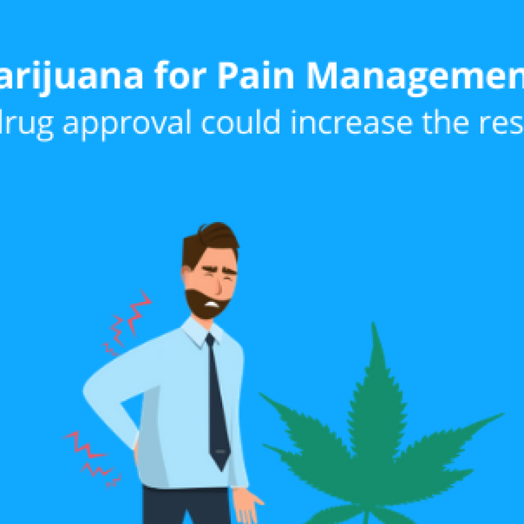 Marijuana for Pain Management