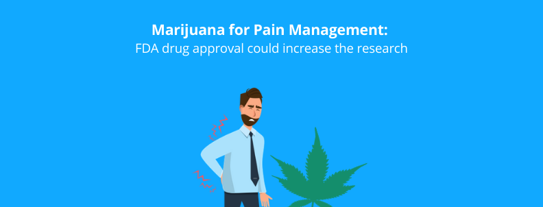 Marijuana for Pain Management