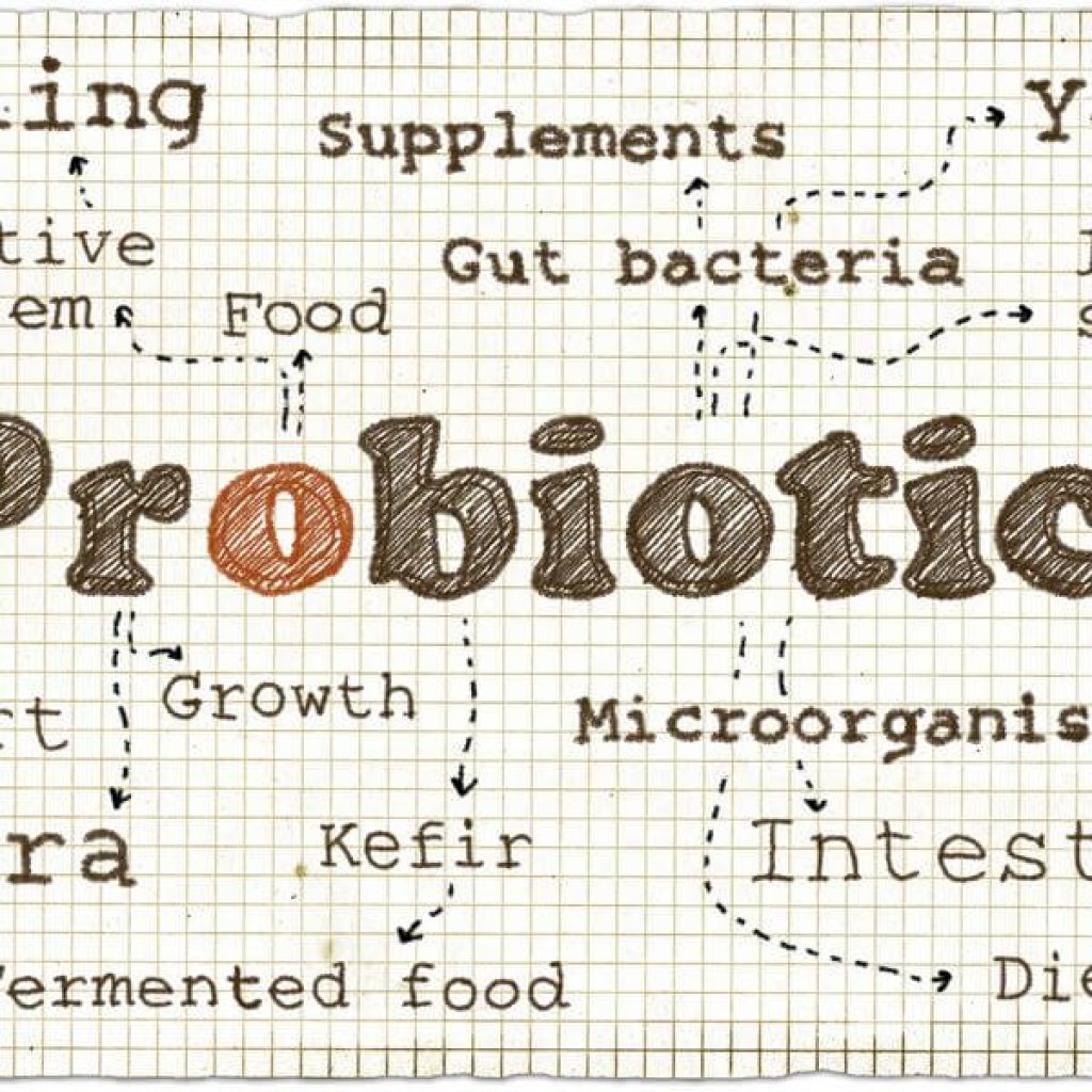 solutions to the shelf stability problem probiotics