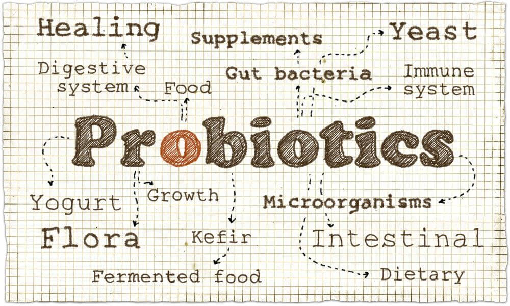 solutions to the shelf stability problem probiotics