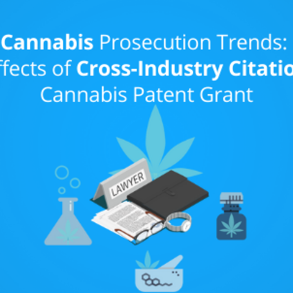 cannabis prosecution trends