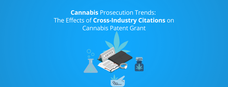 cannabis prosecution trends