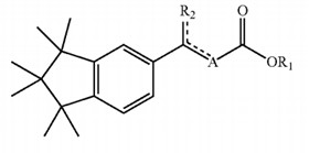 retinol alternative