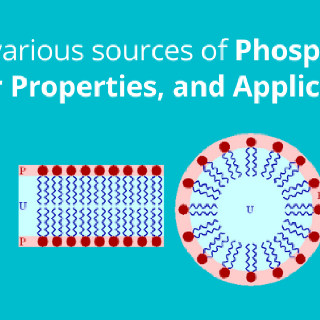 phospholipids