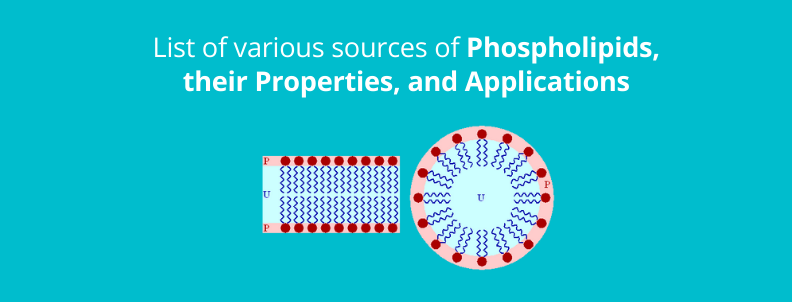 phospholipids