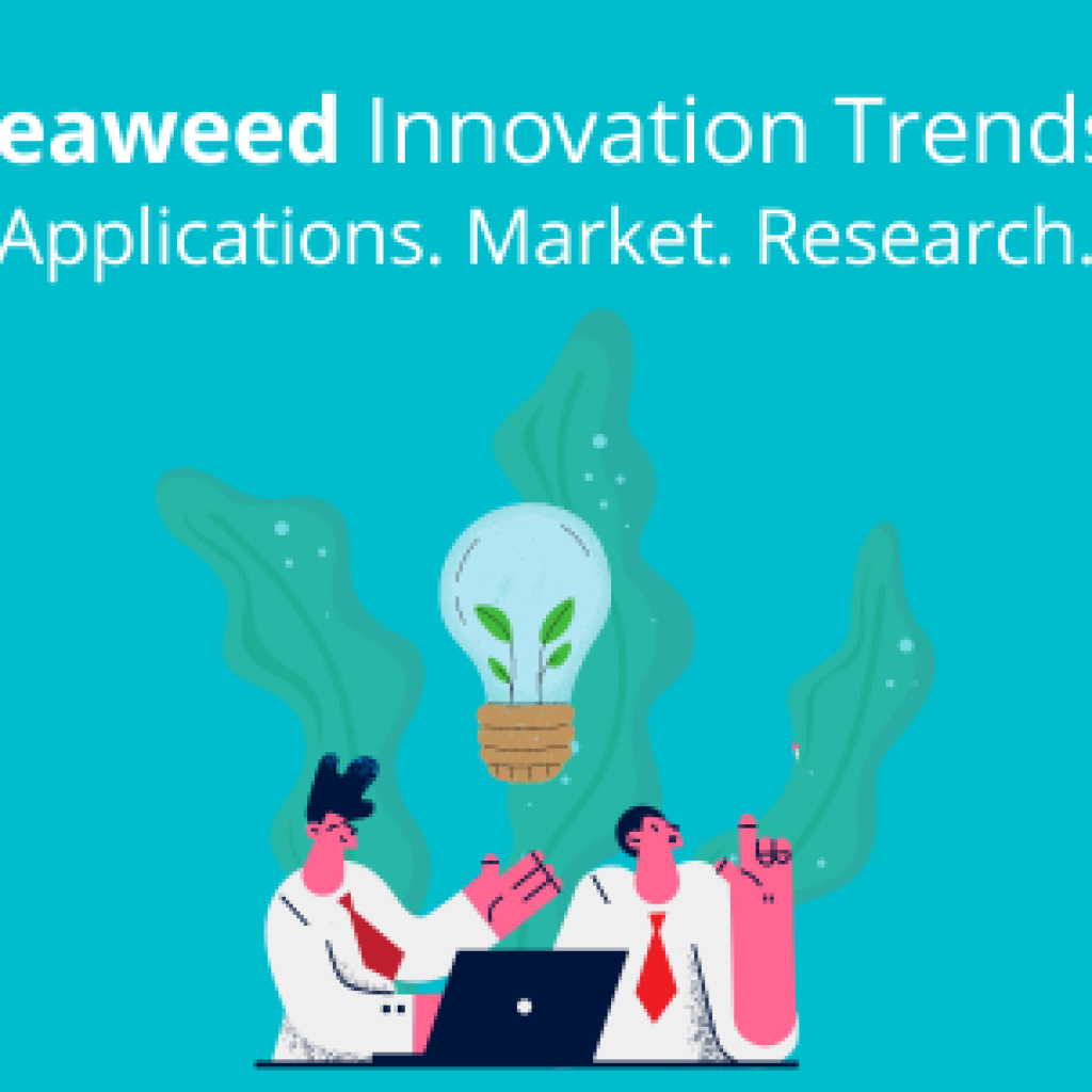 seaweed-innovation-trends-2022