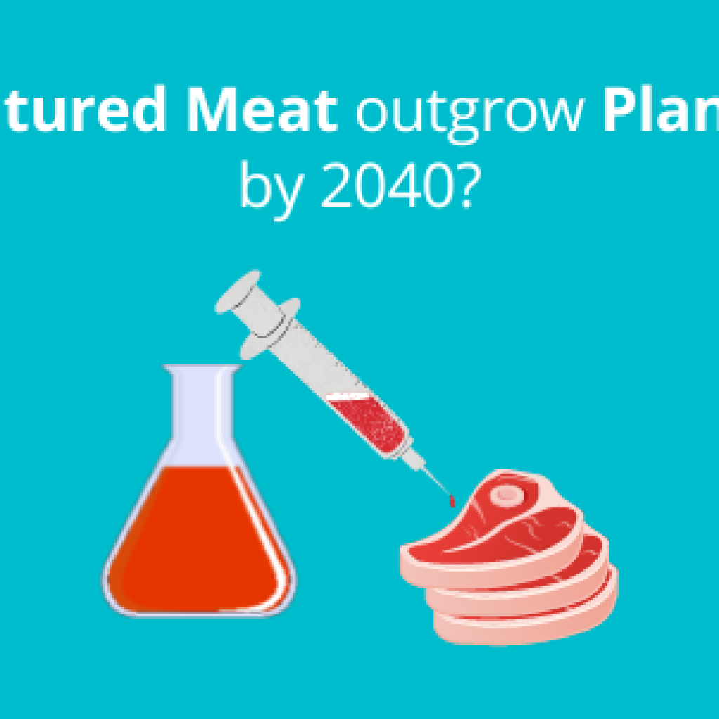 Cultured Meat Research