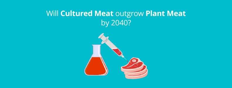 Cultured Meat Research