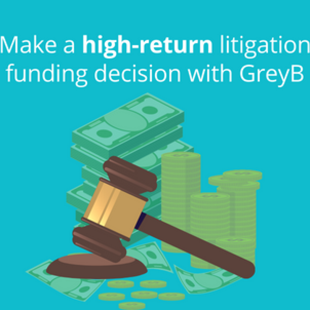 Make a high-return litigation funding decision with GreyB