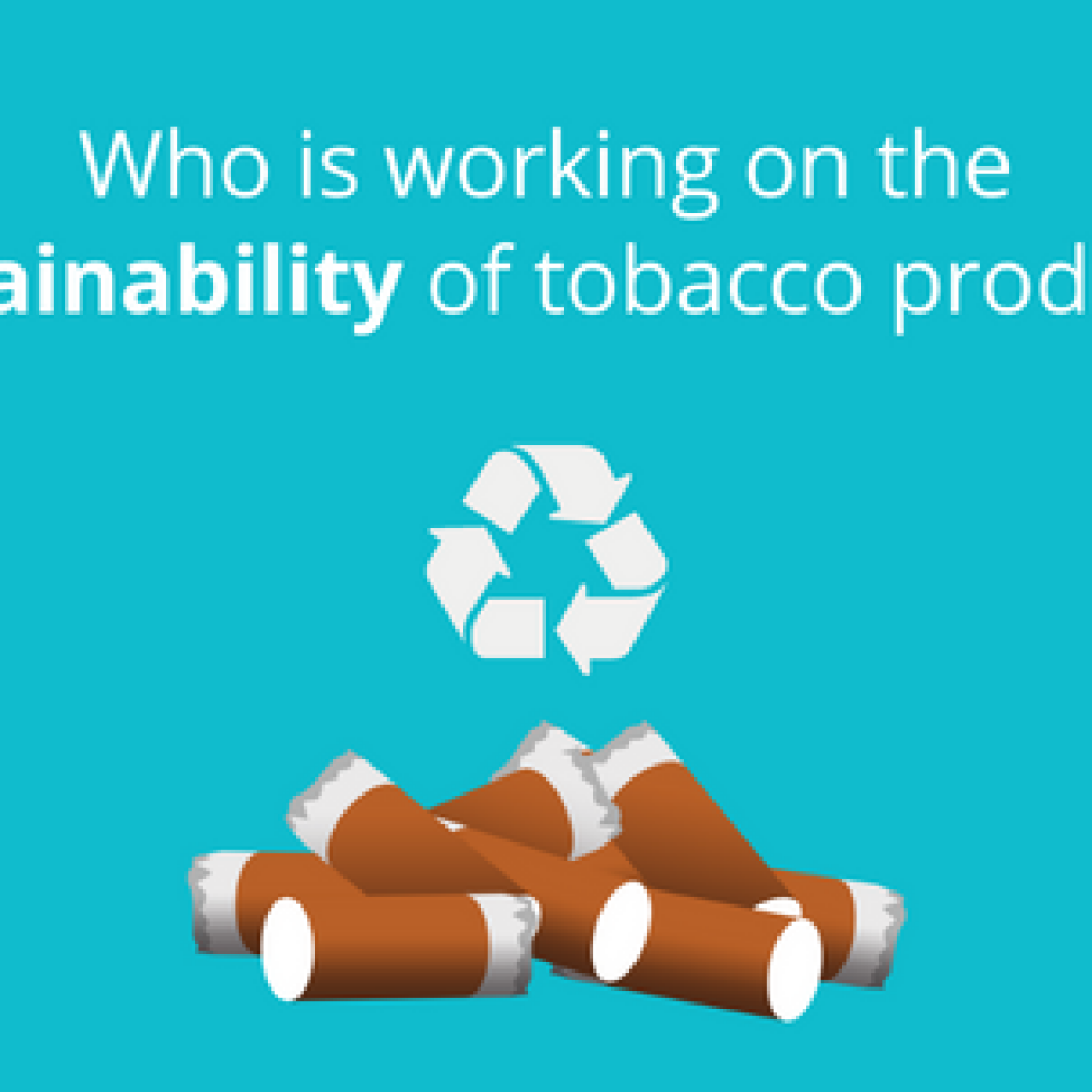 Who is working on the sustainability of tobacco products?