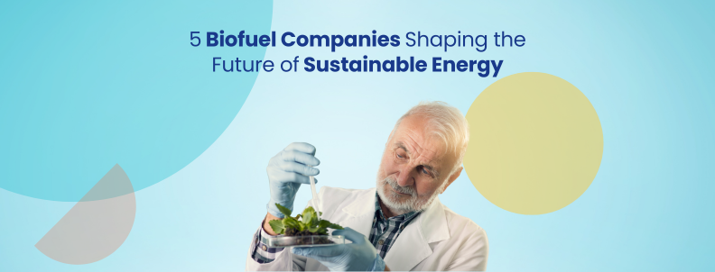 5 biofuel companies shaping the future of sustainable energy