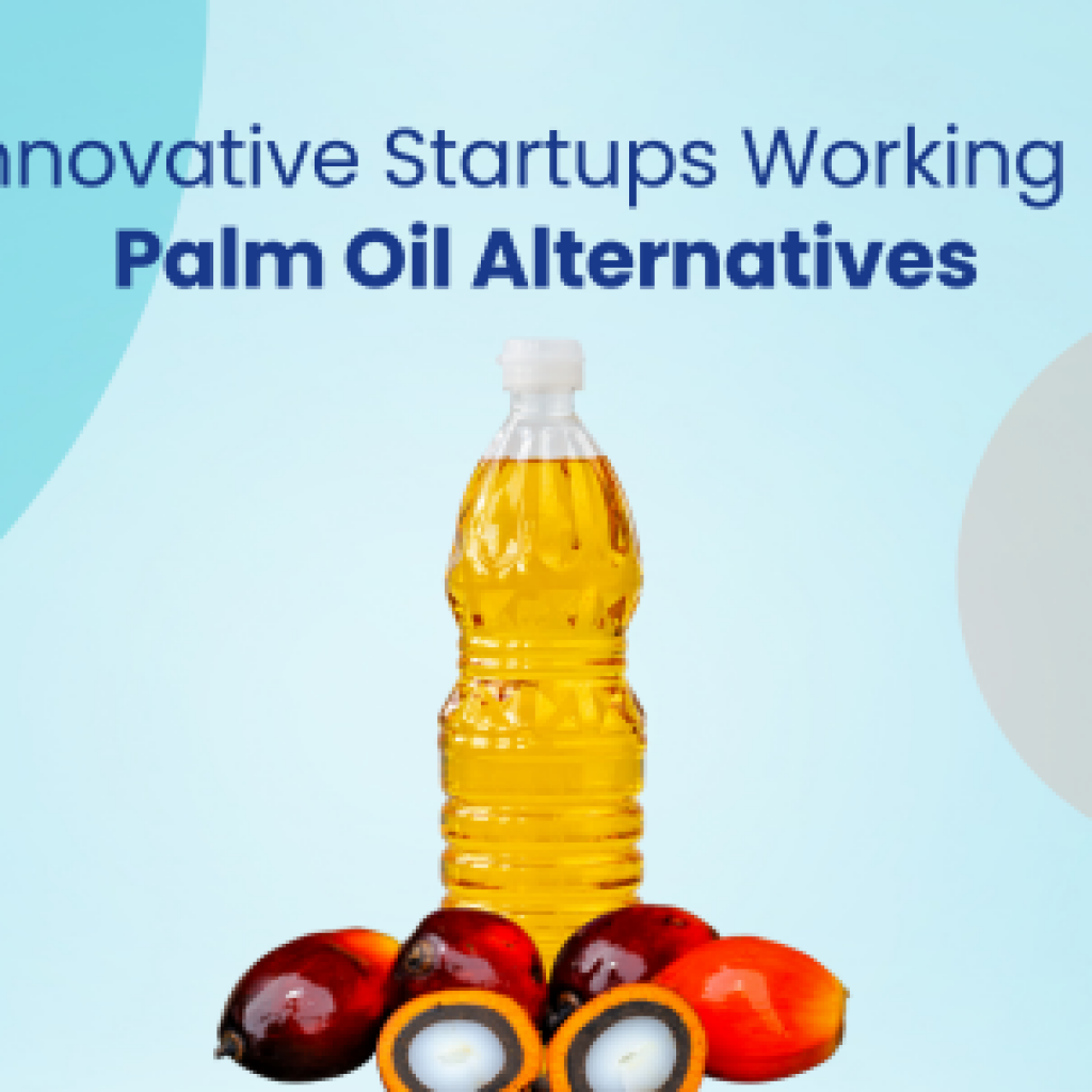 7 innovative startups working on palm oil alternatives