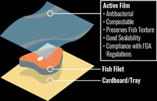 Impactful Health R&D's active packaging solutions 