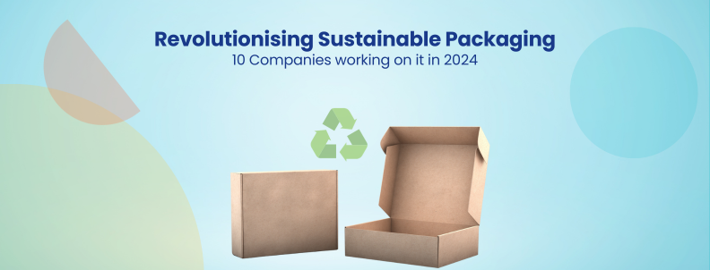 Revolutionising Sustainable Packaging 10 Companies working on it in 2024