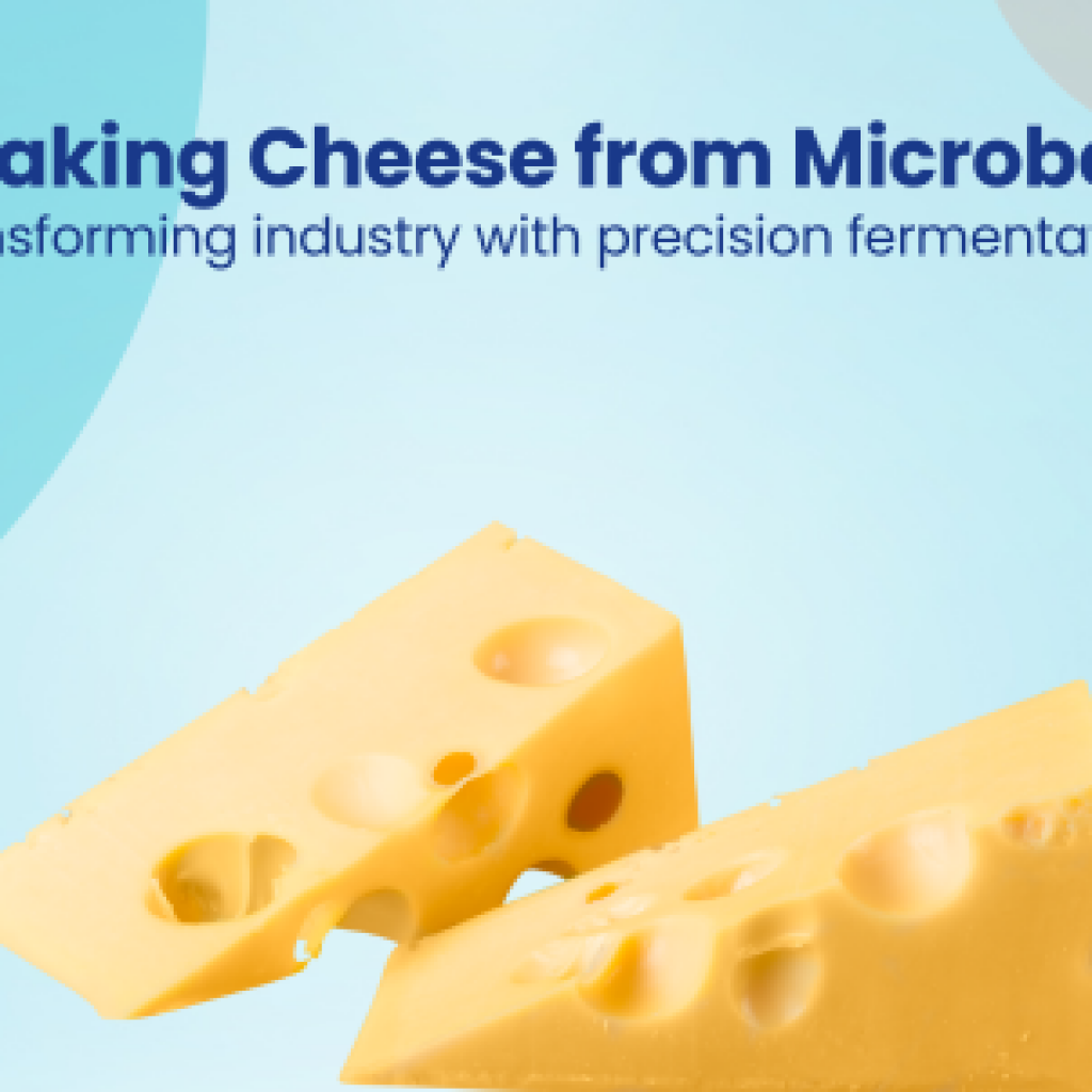 Making Cheese from Microbes Transforming industry with precision fermentation