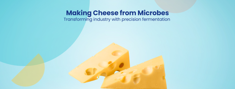 Making Cheese from Microbes Transforming industry with precision fermentation