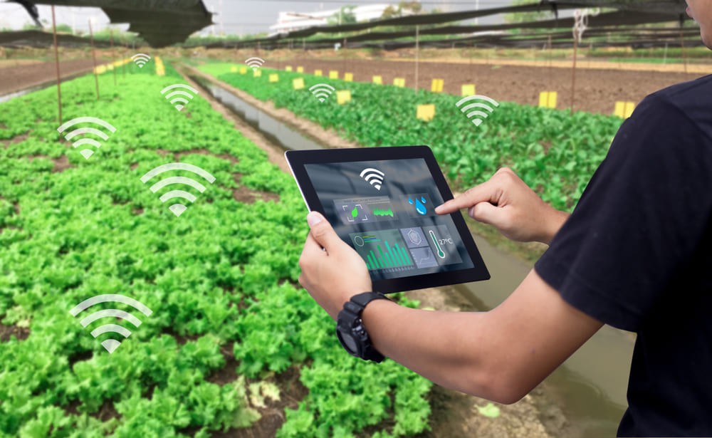 iot-in-agriculture