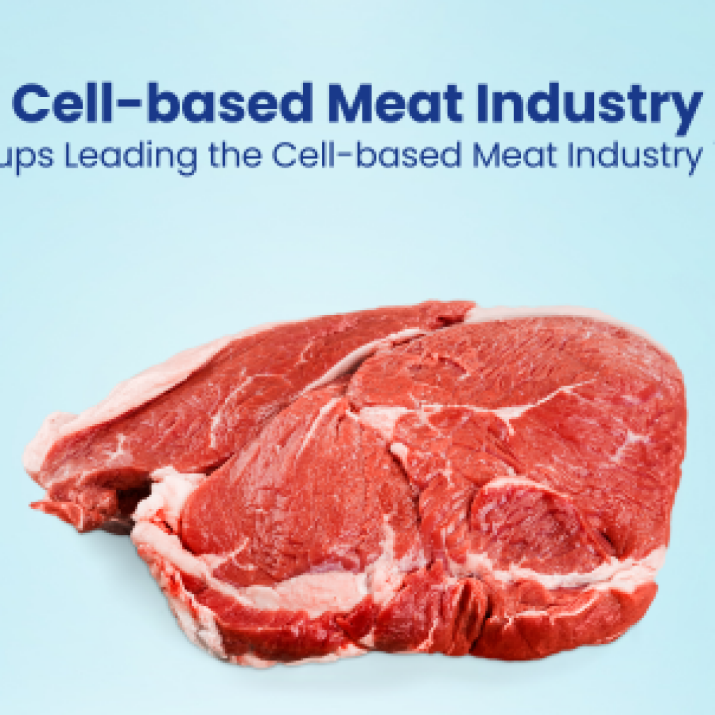 Cell-based Meat Industry 5 Startups Leading the Cell-based Meat Industry in 2024