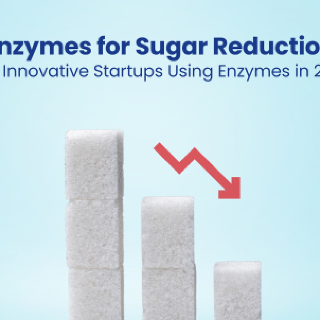 Enzymes for Sugar Reduction Five Innovative Startups Using Enzymes in 2024