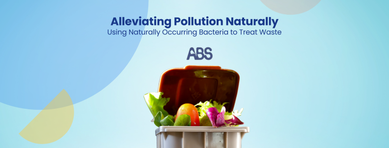 Alleviating Pollution Naturally Using Naturally Occurring Bacteria to Treat Waste