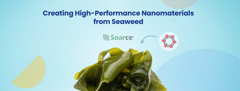 Creating High-Performance Nanomaterials from Seaweed