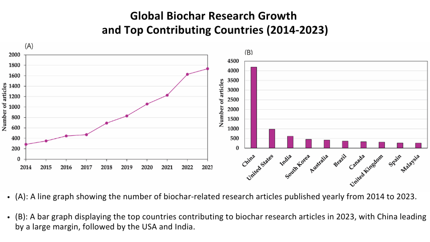 Emerging Innovations in Biochar Carbon Removal