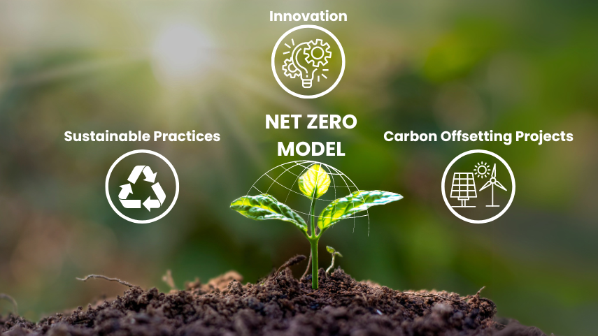 How to avoid greenwashing: Ideal Net Zero Model