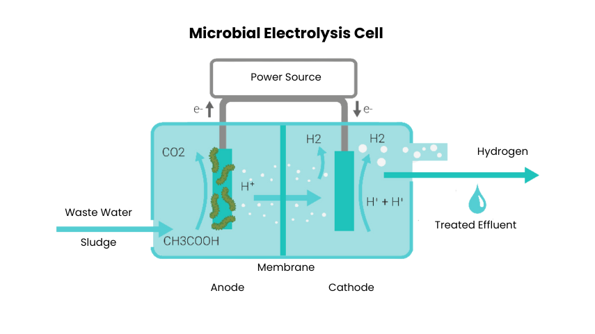 microbial-electrolysis-cell-mec