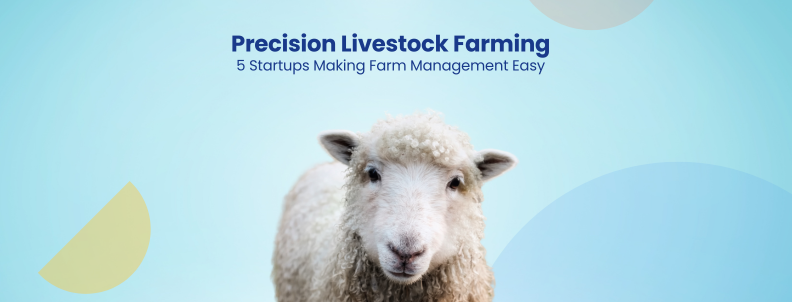 Precision Livestock Farming 5 Startups Making Farm Management Easy