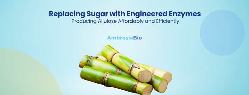 Replacing Sugar with Engineered Enzymes Producing Allulose Affordably and Efficiently