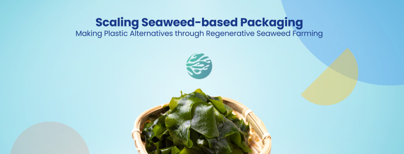 Scaling Seaweed-based Packaging Making Plastic Alternatives through Regenerative Seaweed Farming